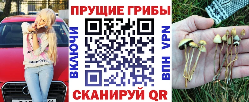Псилоцибиновые грибы мицелий  кракен зеркало  Ноябрьск  закладки 
