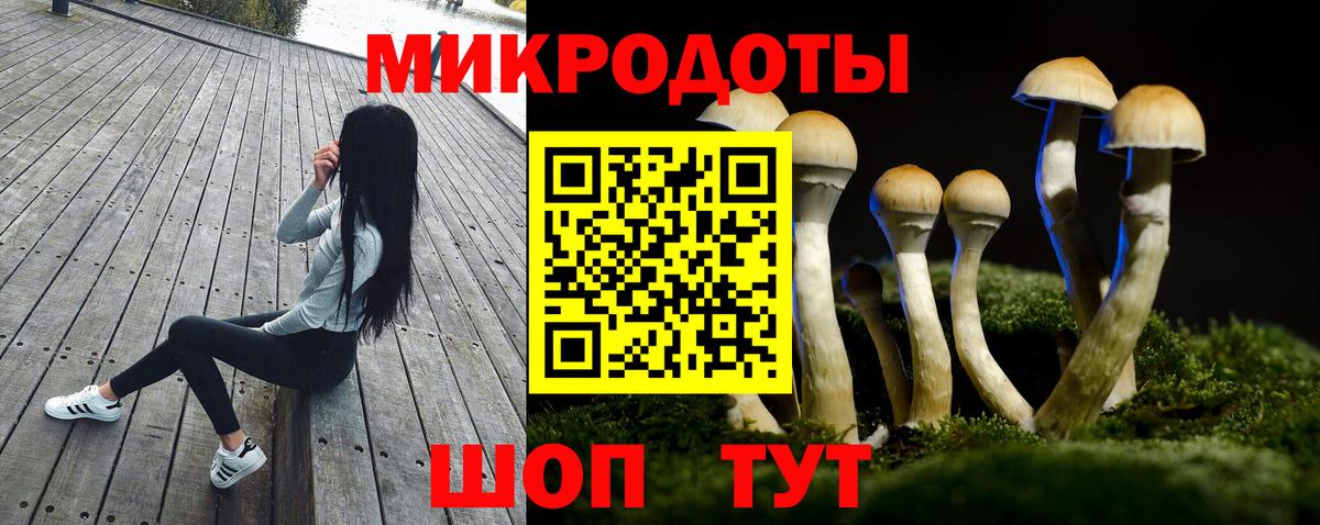Галлюциногенные грибы GOLDEN TEACHER Ноябрьск