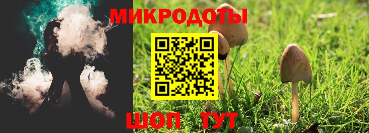 Ноябрьск  Псилоцибиновые грибы мухоморы  наркота  Вход с VPN  Галлюциногенные грибы Psilocybe 
